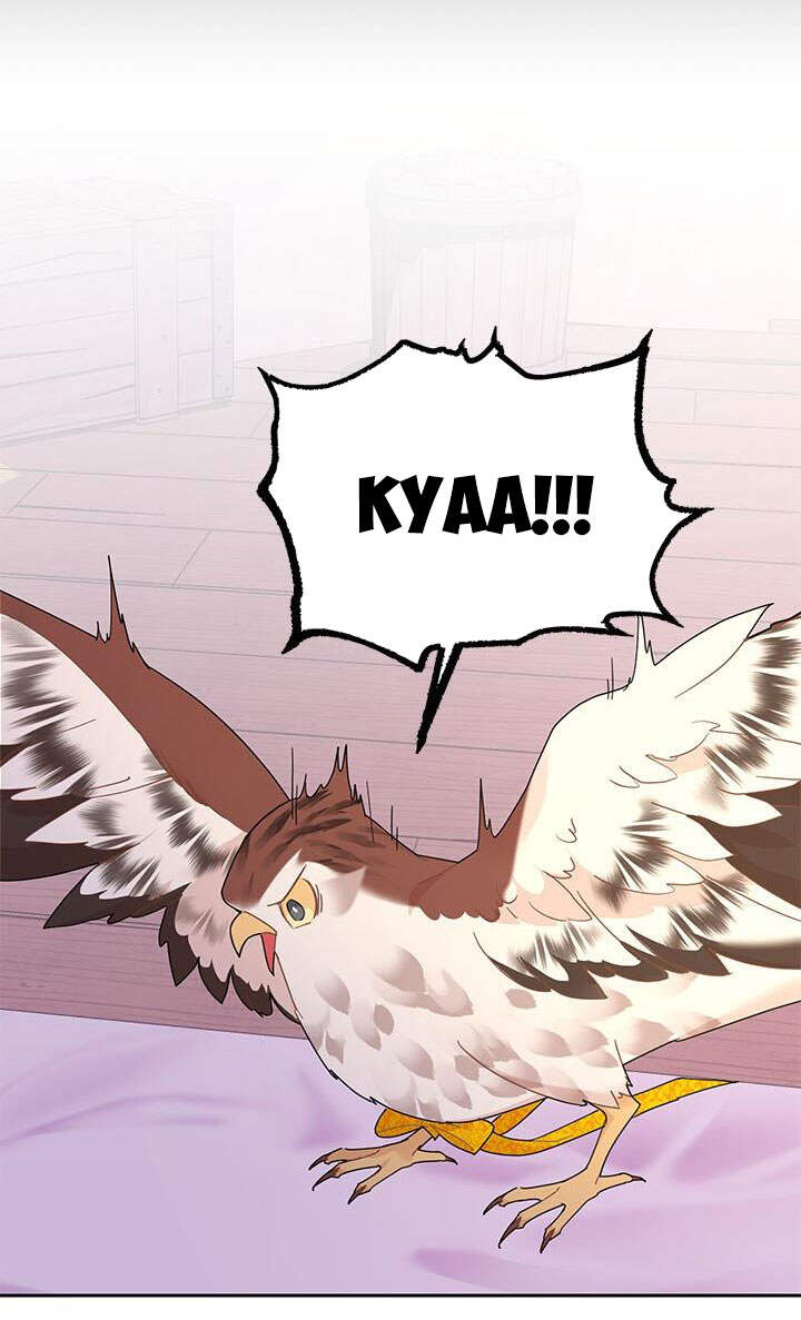 Công Chúa Của Loài Chim - Chương 37.1