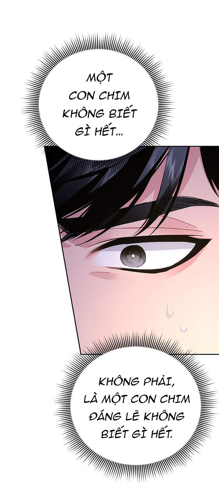 Công Chúa Của Loài Chim - Chương 37.1