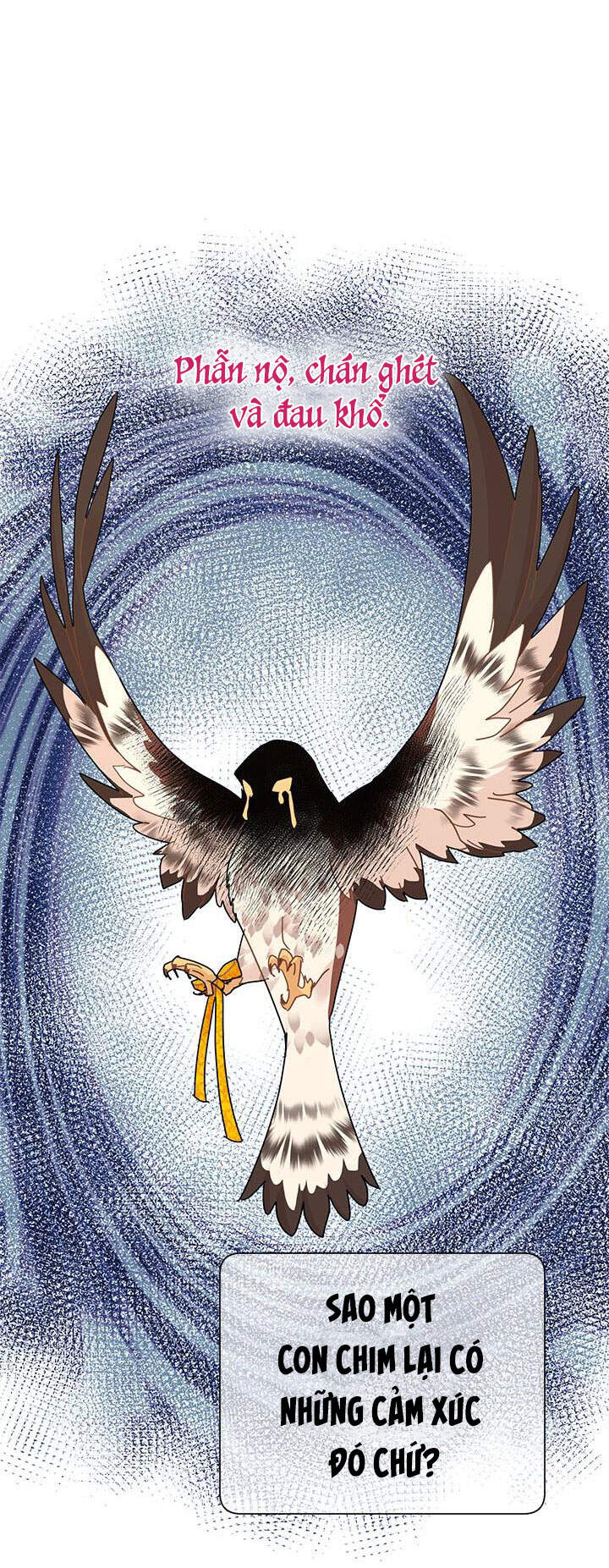 Công Chúa Của Loài Chim - Chương 37.1