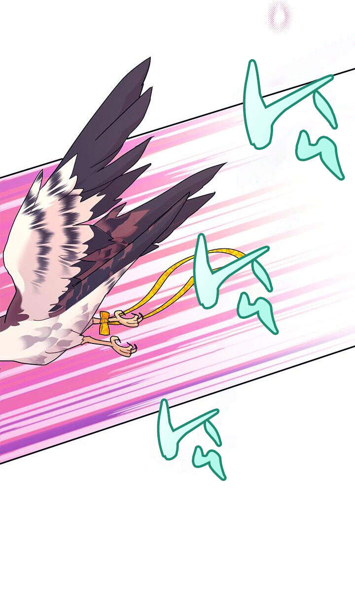 Công Chúa Của Loài Chim - Chương 37.1