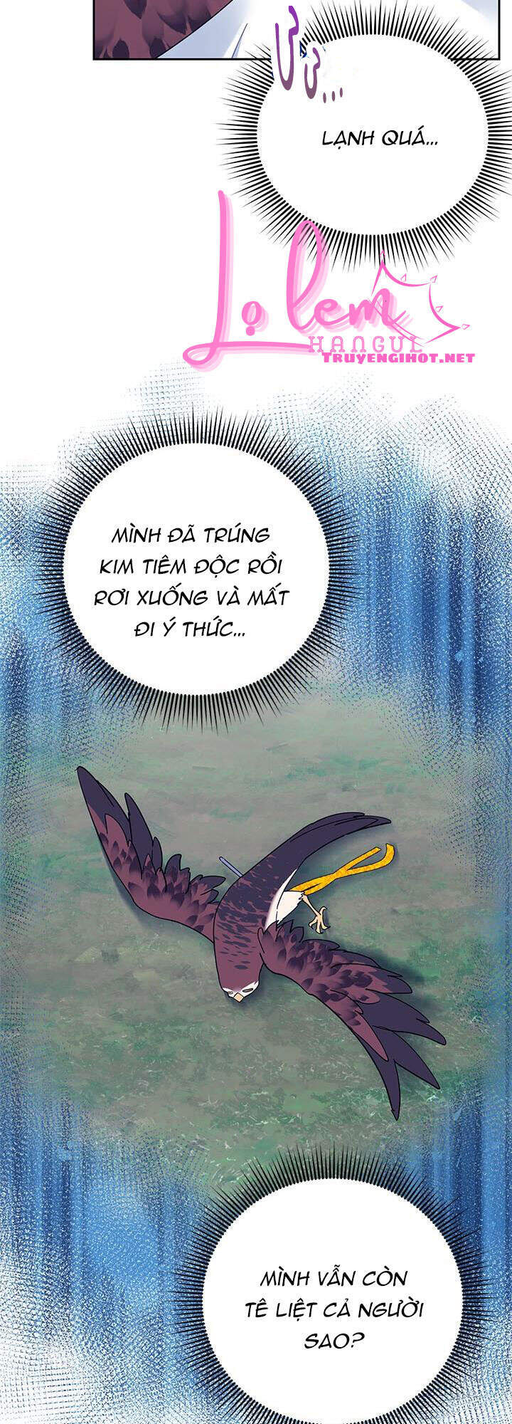 Công Chúa Của Loài Chim - Chương 39.1