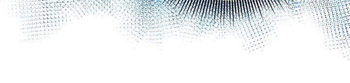 Công Chúa Của Loài Chim - Chương 39.1