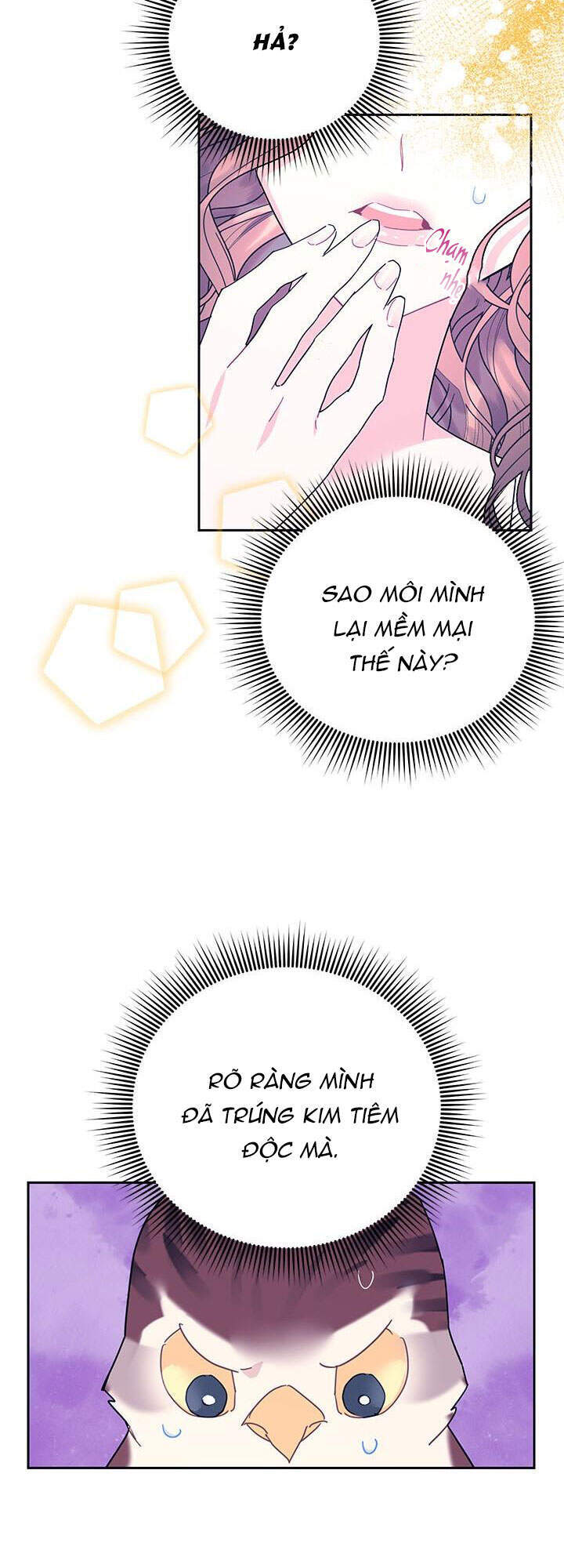 Công Chúa Của Loài Chim - Chương 39.1