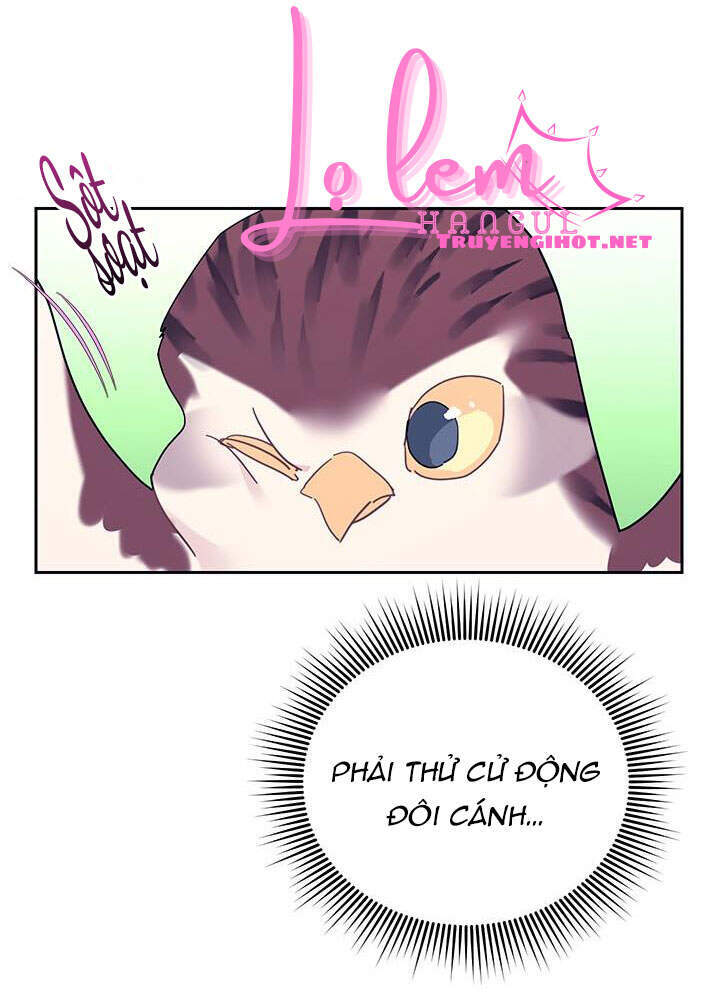 Công Chúa Của Loài Chim - Chương 39.1