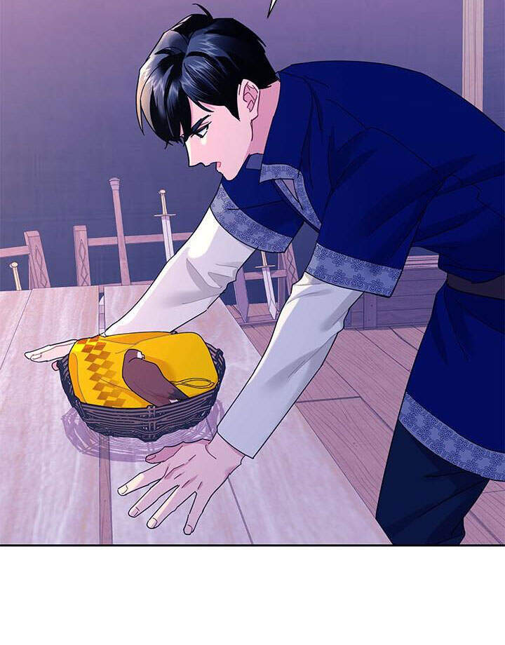 Công Chúa Của Loài Chim - Chương 39.1