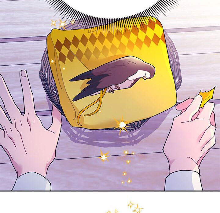 Công Chúa Của Loài Chim - Chương 39.1