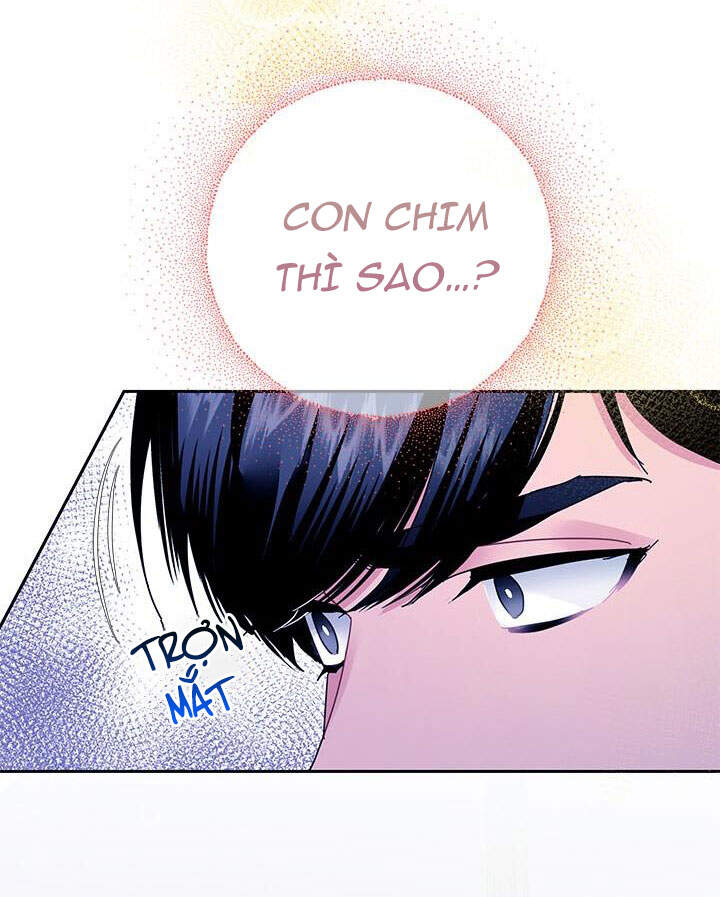 Công Chúa Của Loài Chim - Chương 40.1