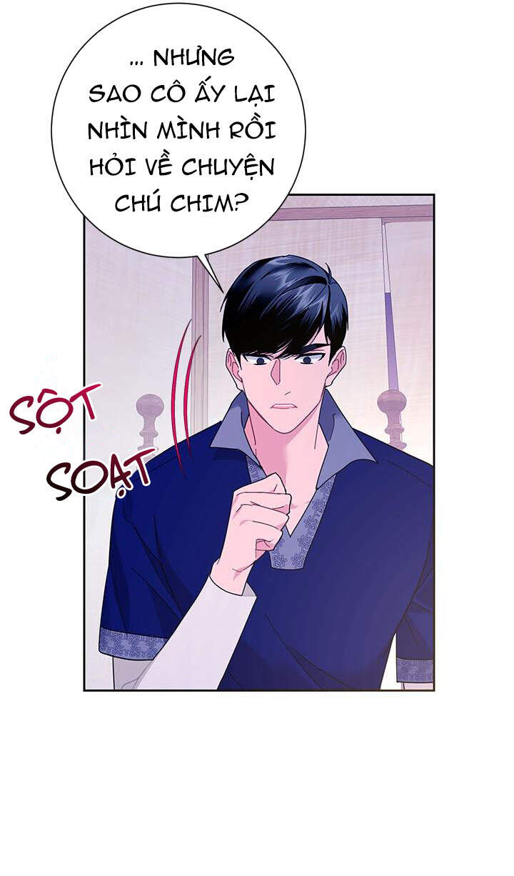Công Chúa Của Loài Chim - Chương 40.1