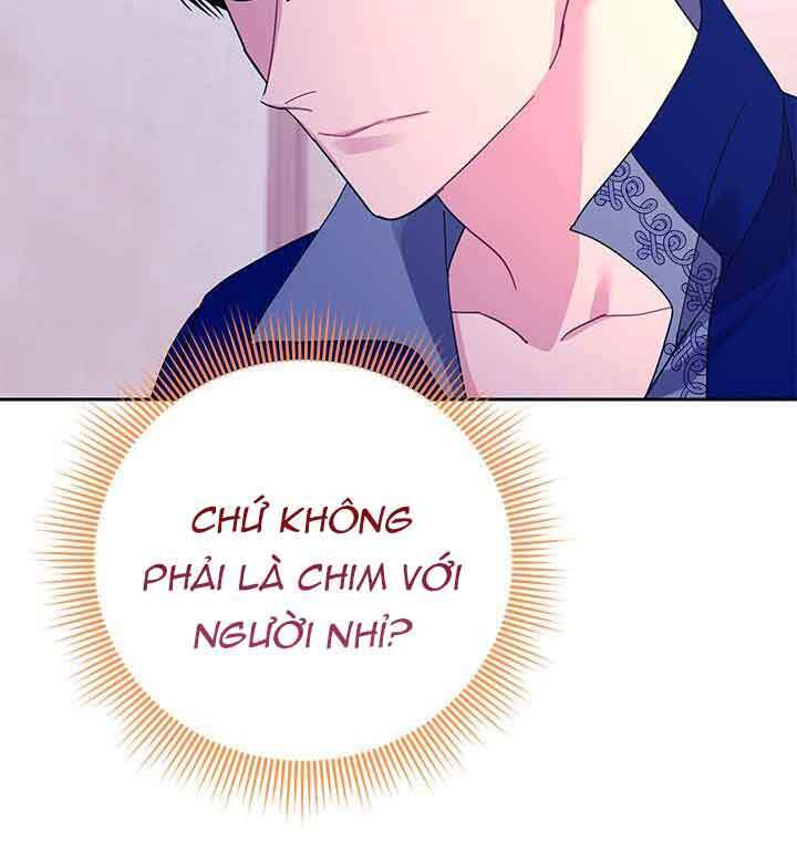 Công Chúa Của Loài Chim - Chương 41.1