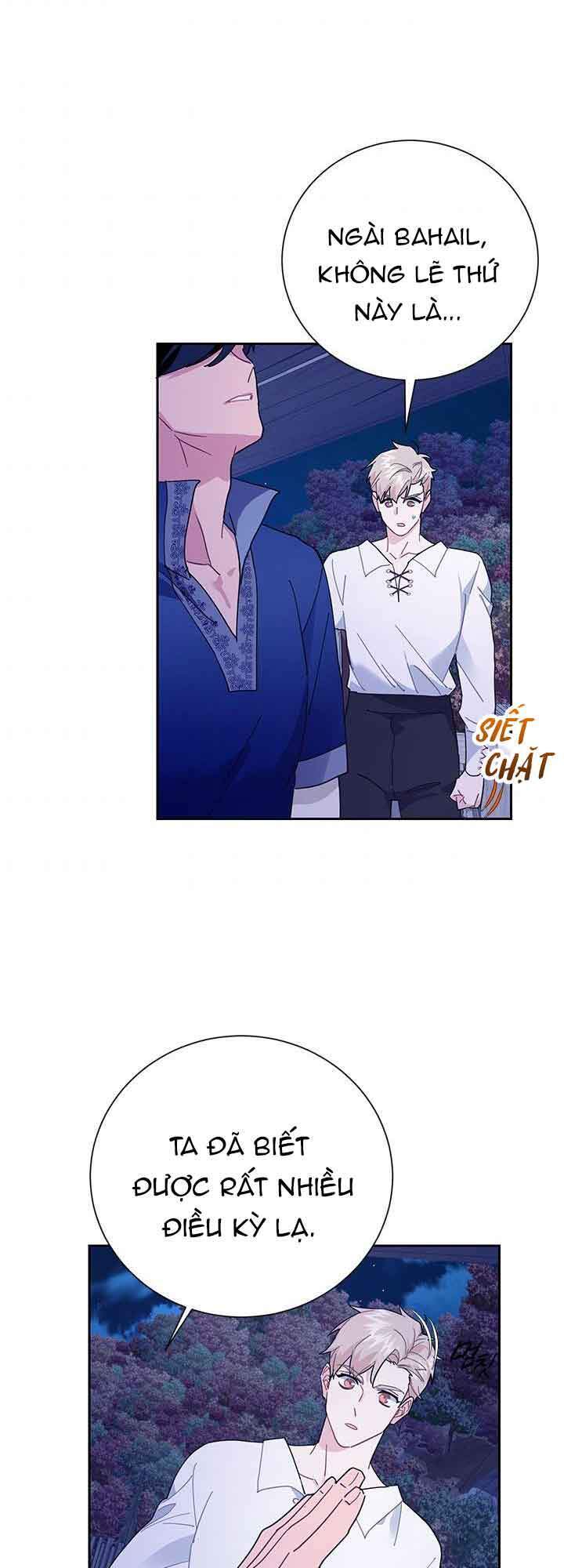 Công Chúa Của Loài Chim - Chương 41.1