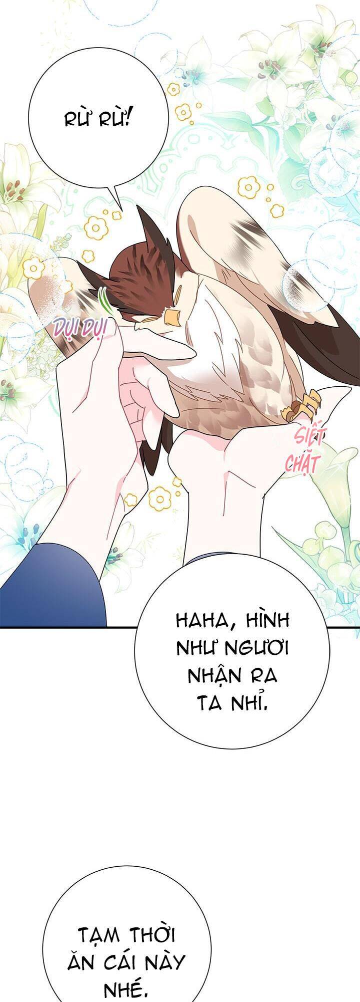 Công Chúa Của Loài Chim - Chương 45
