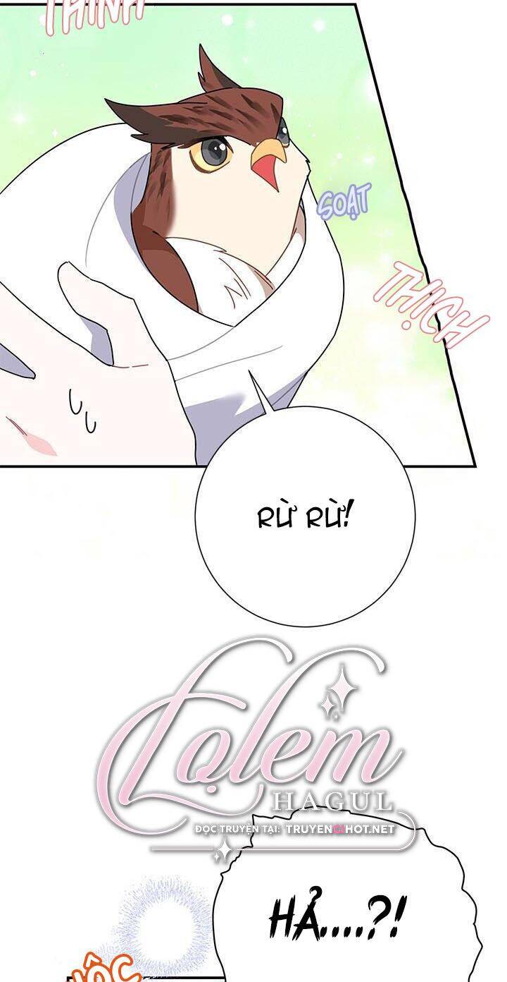 Công Chúa Của Loài Chim - Chương 45