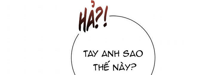 Công Chúa Của Loài Chim - Chương 49.1