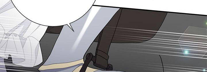 Công Chúa Của Loài Chim - Chương 49.1