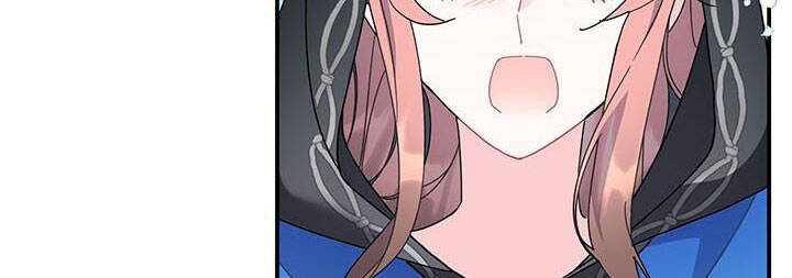 Công Chúa Của Loài Chim - Chương 49.1