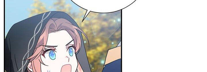 Công Chúa Của Loài Chim - Chương 49.1