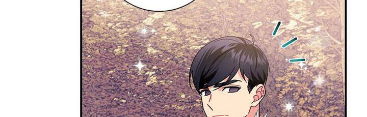 Công Chúa Của Loài Chim - Chương 49.1