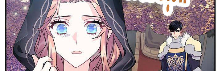 Công Chúa Của Loài Chim - Chương 49.1