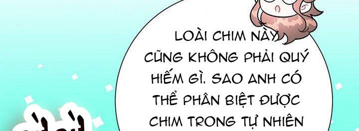 Công Chúa Của Loài Chim - Chương 49
