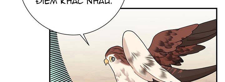 Công Chúa Của Loài Chim - Chương 49