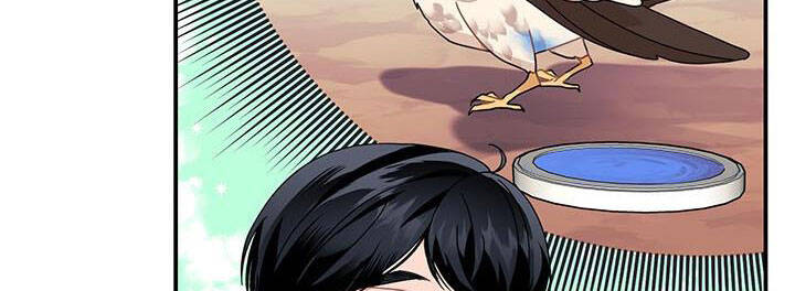 Công Chúa Của Loài Chim - Chương 49