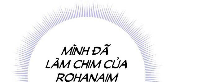Công Chúa Của Loài Chim - Chương 49