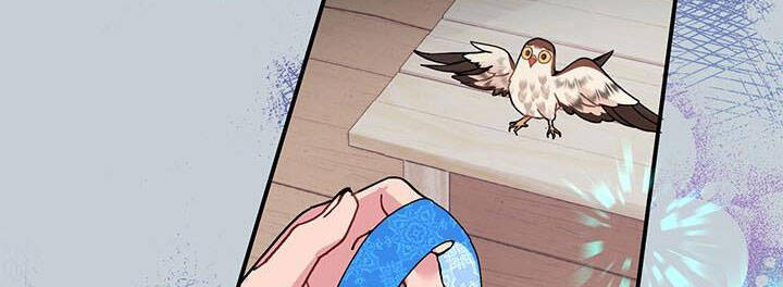 Công Chúa Của Loài Chim - Chương 49