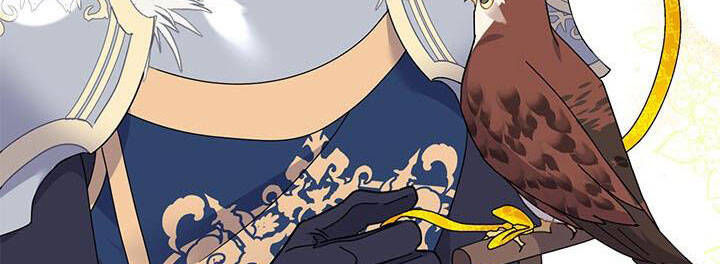 Công Chúa Của Loài Chim - Chương 49