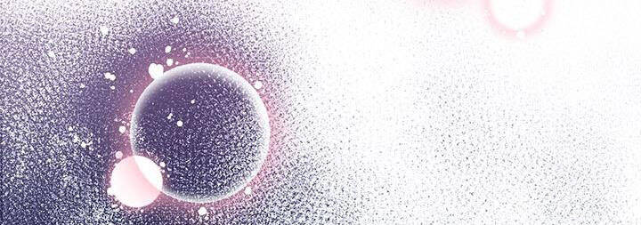 Công Chúa Của Loài Chim - Chương 50