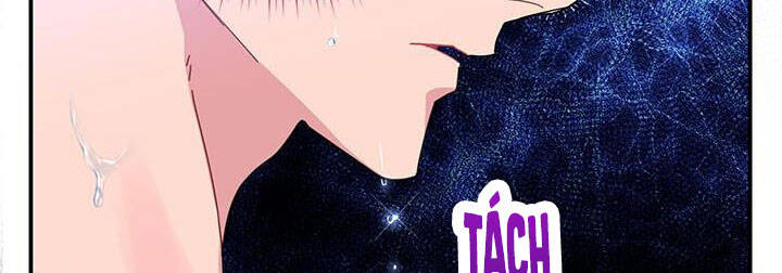 Công Chúa Của Loài Chim - Chương 50