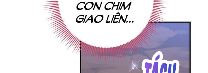 Công Chúa Của Loài Chim - Chương 50