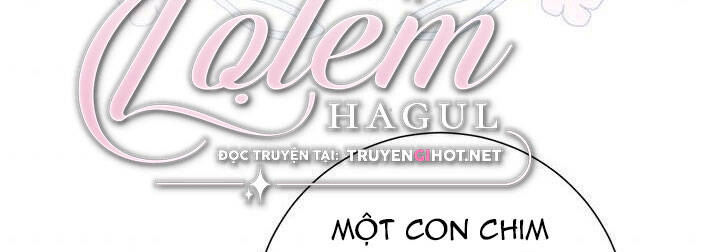 Công Chúa Của Loài Chim - Chương 50