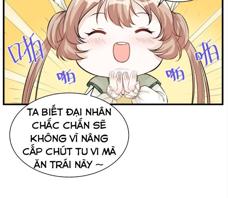 Tu Tiên Phải Dựa Vào Sugar Mommy - Chương 5