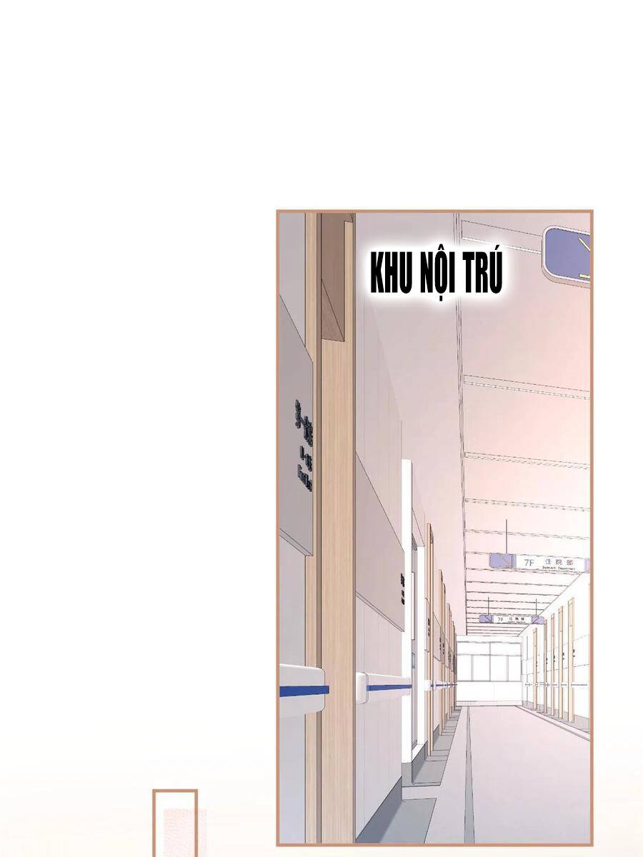 Ta Có Năm Đại Lão Ba Ba - Chương 208