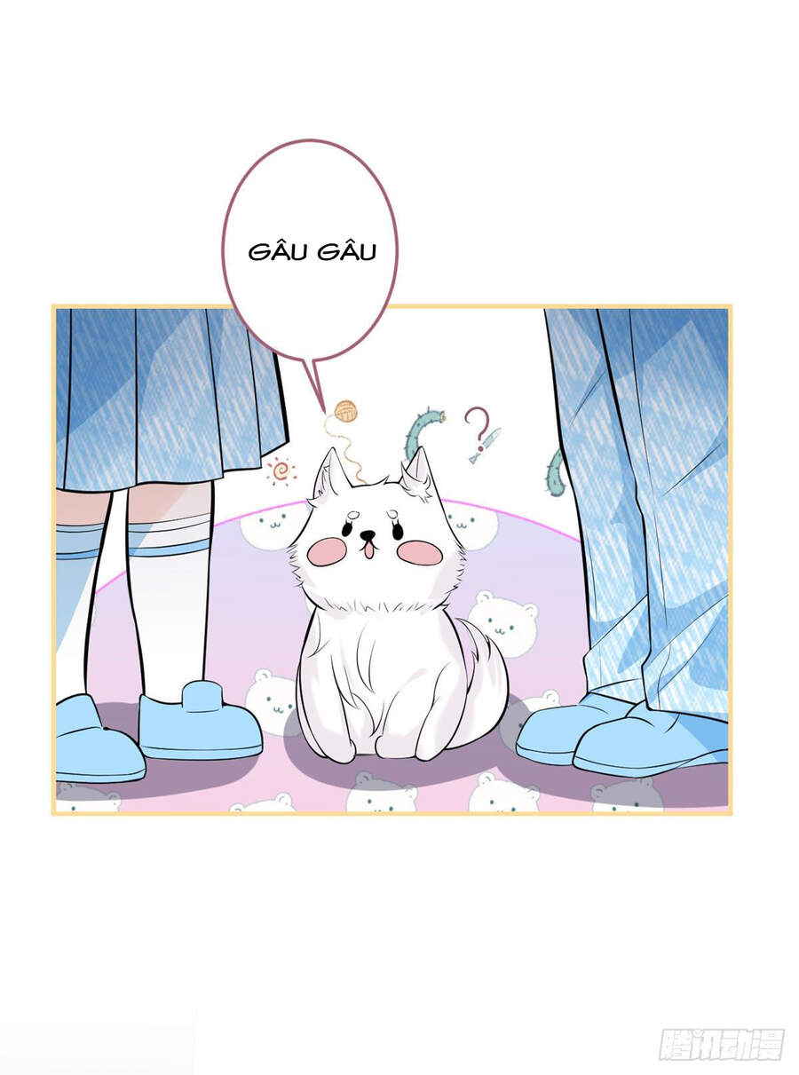 Ta Có Năm Đại Lão Ba Ba - Chương 127