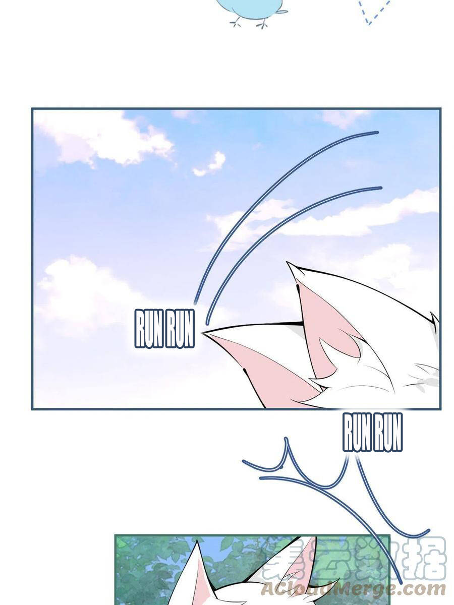 Ta Có Năm Đại Lão Ba Ba - Chương 216