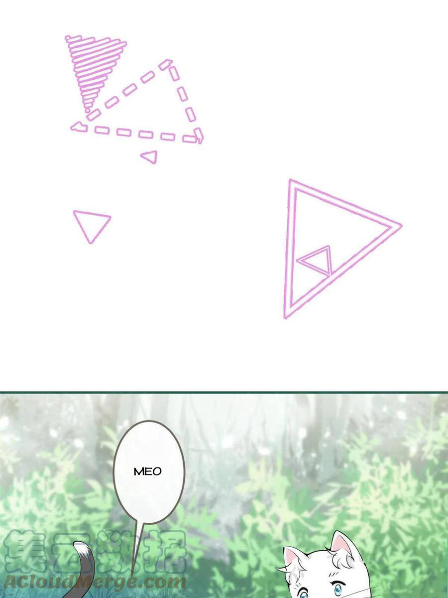 Ta Có Năm Đại Lão Ba Ba - Chương 216