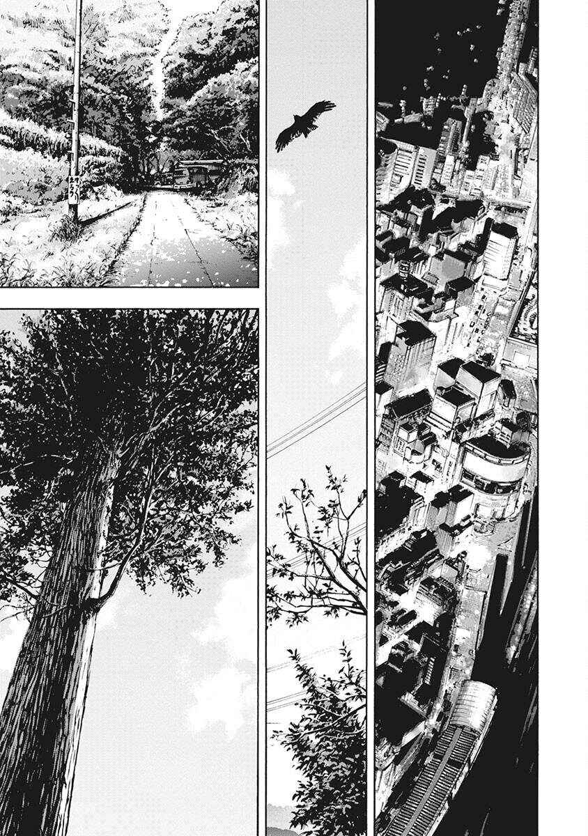 Casinogui - Chương 49