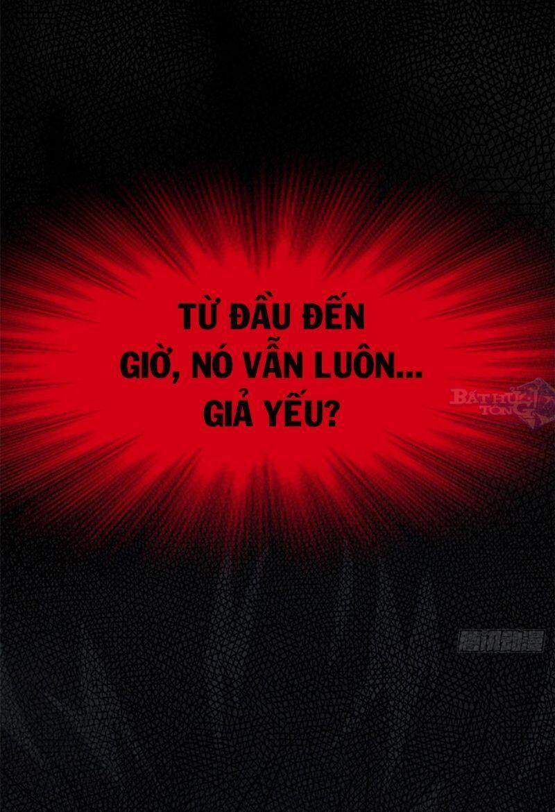 Cường Giả Đến Từ Trại Tâm Thần - Chương 18