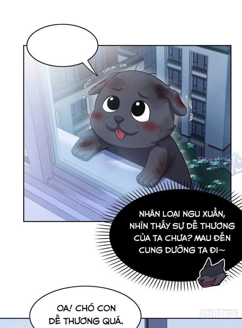 Cường Giả Đến Từ Trại Tâm Thần - Chương 21