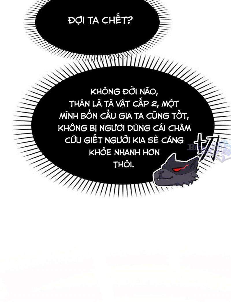 Cường Giả Đến Từ Trại Tâm Thần - Chương 22