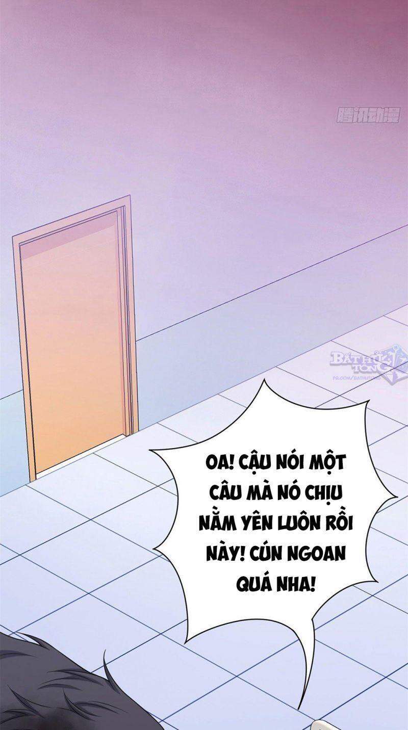 Cường Giả Đến Từ Trại Tâm Thần - Chương 22