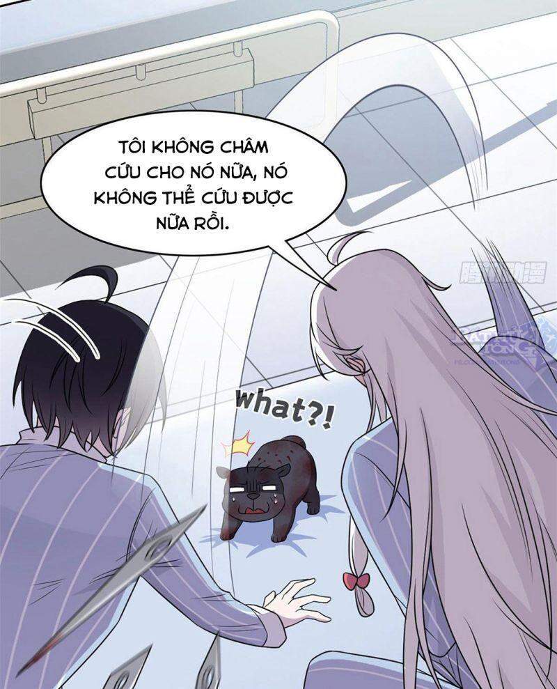 Cường Giả Đến Từ Trại Tâm Thần - Chương 22