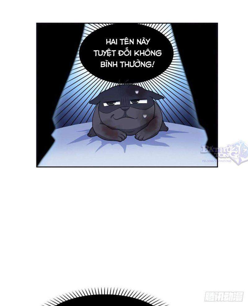 Cường Giả Đến Từ Trại Tâm Thần - Chương 22