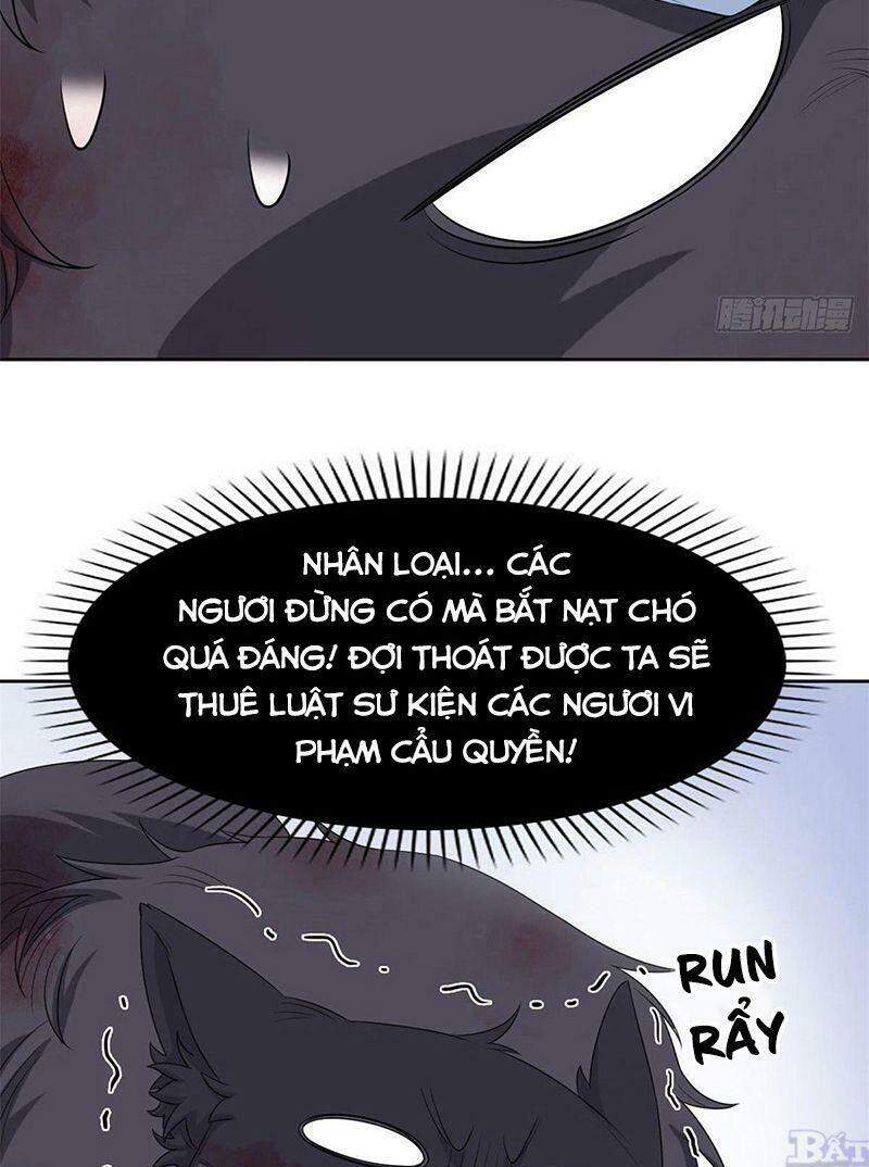 Cường Giả Đến Từ Trại Tâm Thần - Chương 23