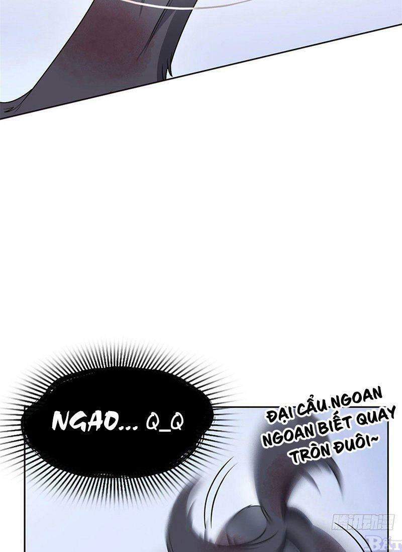 Cường Giả Đến Từ Trại Tâm Thần - Chương 23