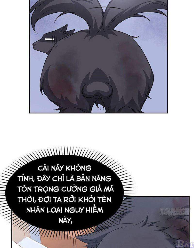 Cường Giả Đến Từ Trại Tâm Thần - Chương 23