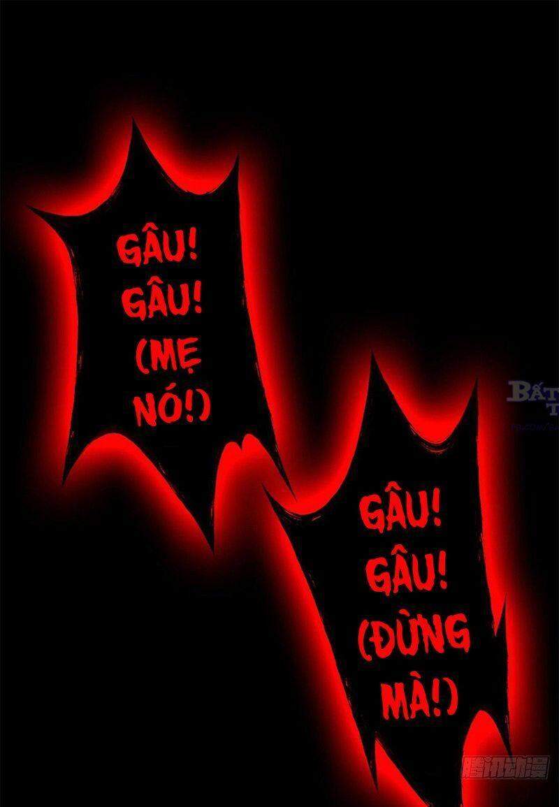 Cường Giả Đến Từ Trại Tâm Thần - Chương 24