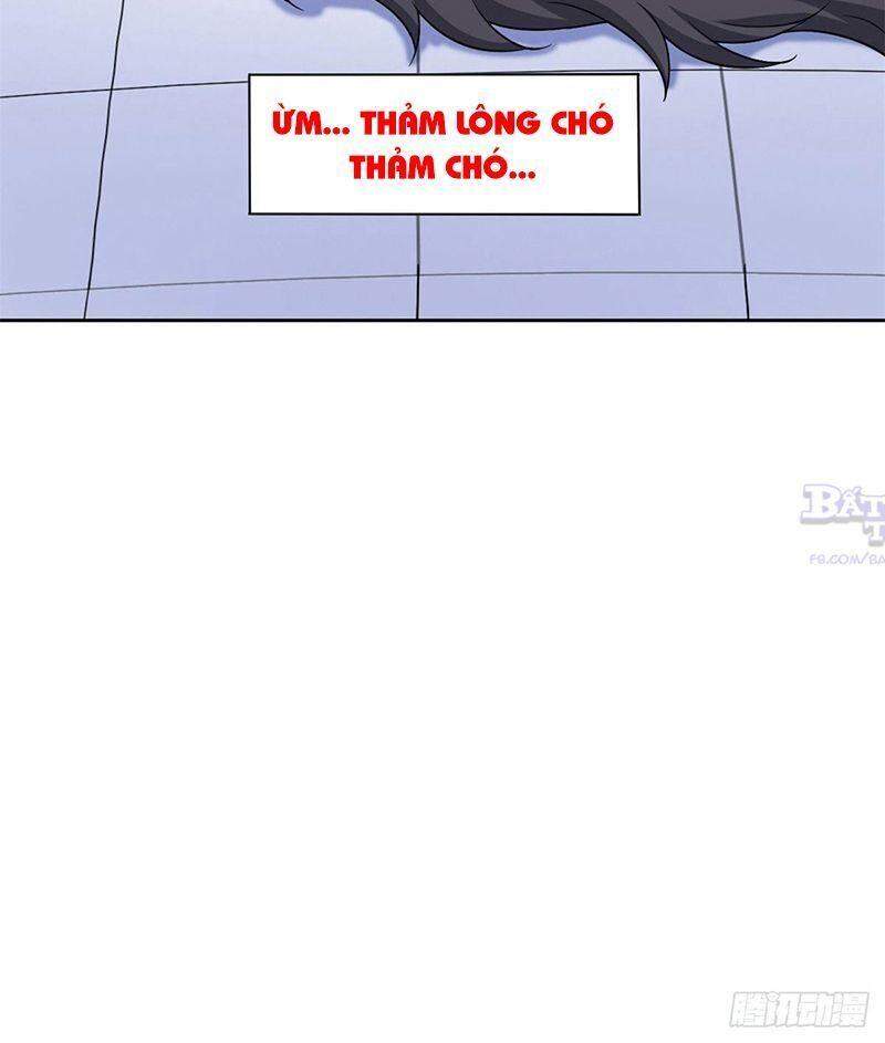 Cường Giả Đến Từ Trại Tâm Thần - Chương 24