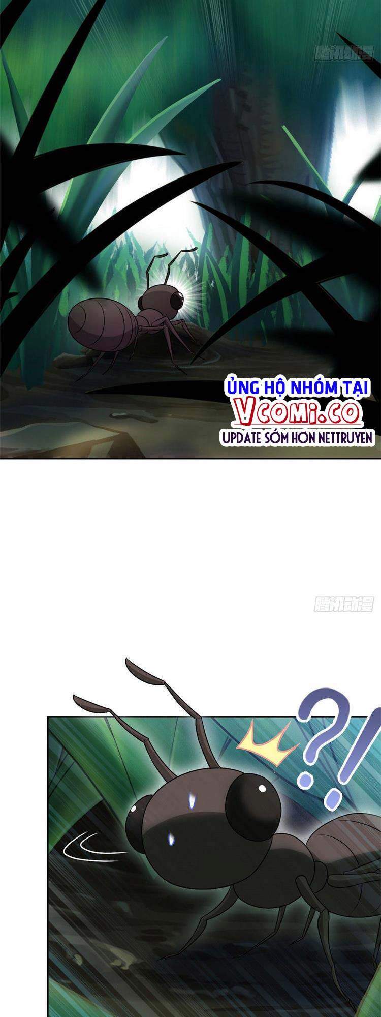 Cường Giả Đến Từ Trại Tâm Thần - Chương 41